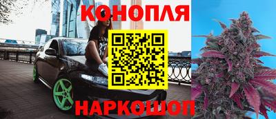сатива Шахты