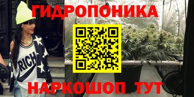 сатива Шахты